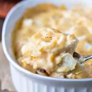 Silver spoon lifting a scoop of cream cheese scalloped potatoes.