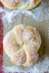 Cinnamon Sugar Pretzel Knots