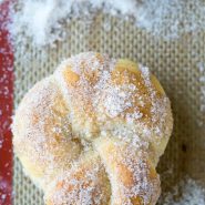 Cinnamon Sugar Pretzel Knots