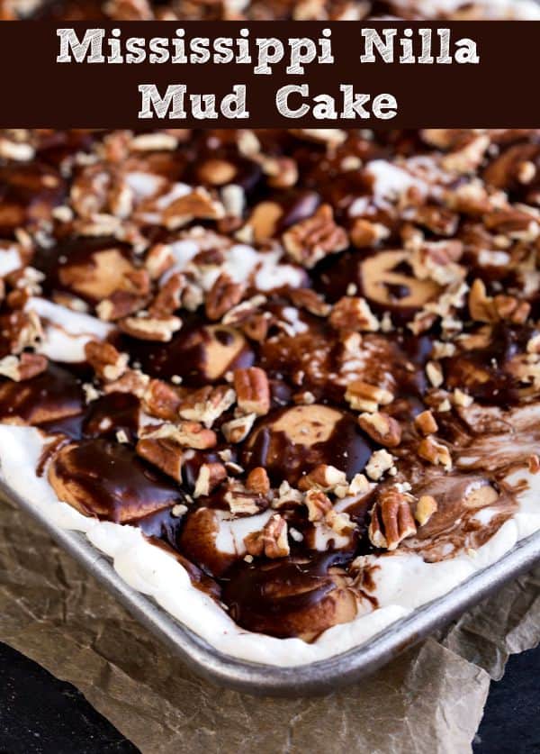 mississippi nilla mud cake