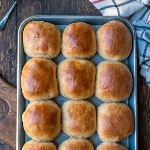 30 minute honey wheat rolls on a baking tray