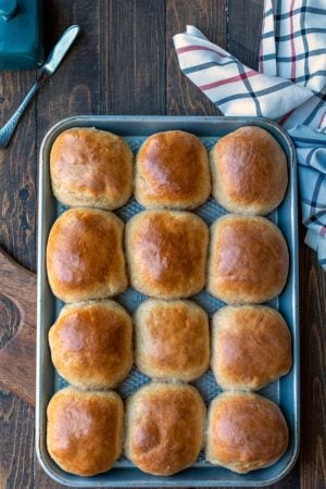 30 minute honey wheat rolls on a baking tray