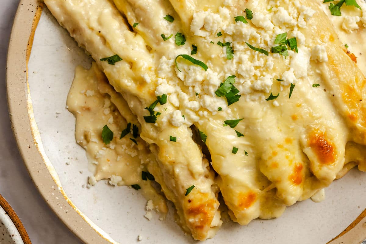 Close up white chicken enchiladas on a plate. 
