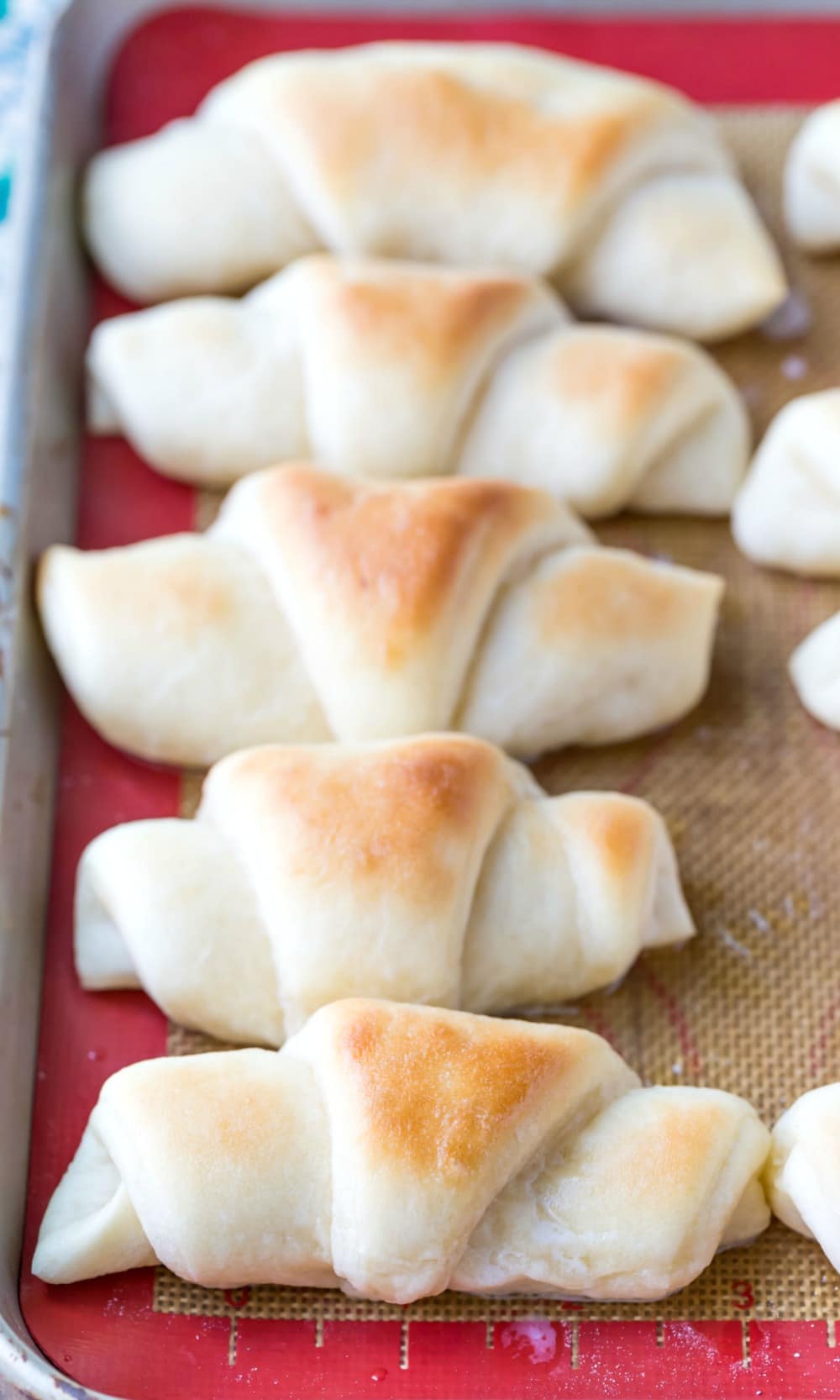 row of crescent rolls on a sheet pan tray