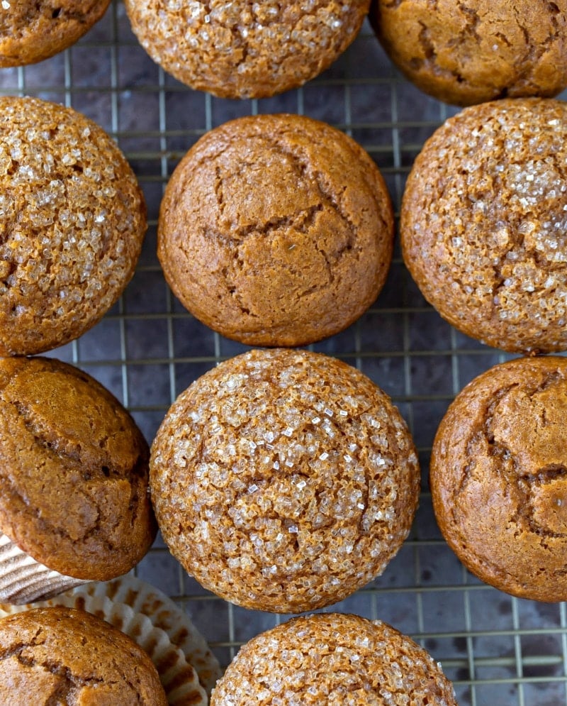 Gingerbread muffins topped with coarse sugar