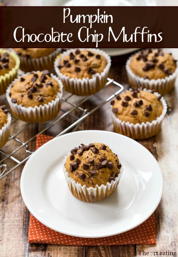pumpkin chocolate chip muffins
