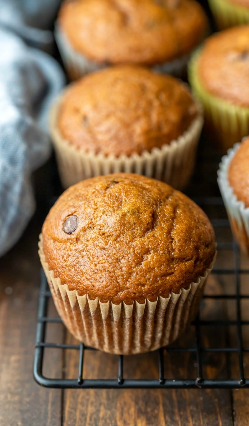 Pumpkin chocolate chip muffin on a wire cooling rack