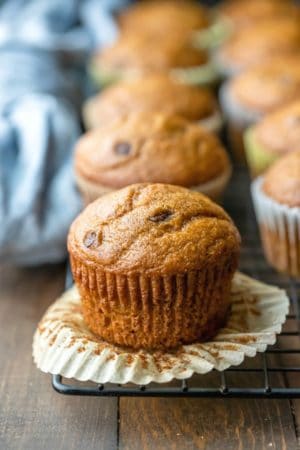 Pumpkin chocolate chip muffin with the muffin liner peeled down