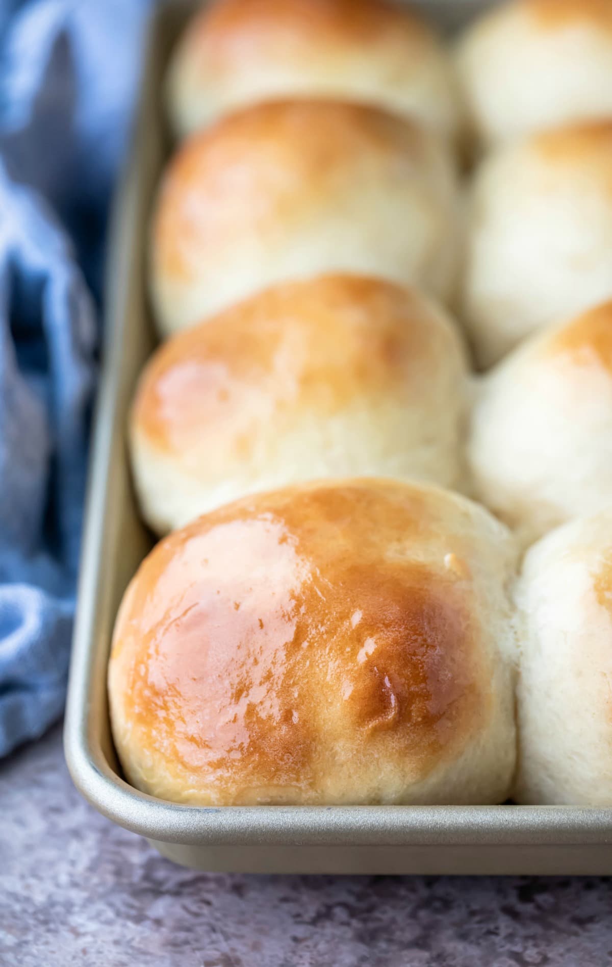 Gold baking pan with 30 minute honey butter rolls in it