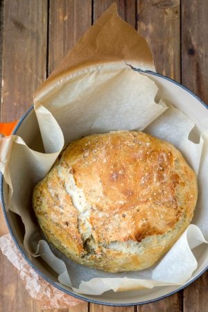 Garlic Herb No-Knead Bread in a Dutch oven.