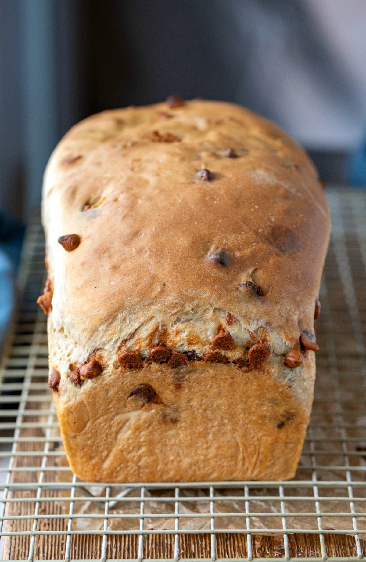 Loaf of cinnamon chip bread on a wire cooling rack