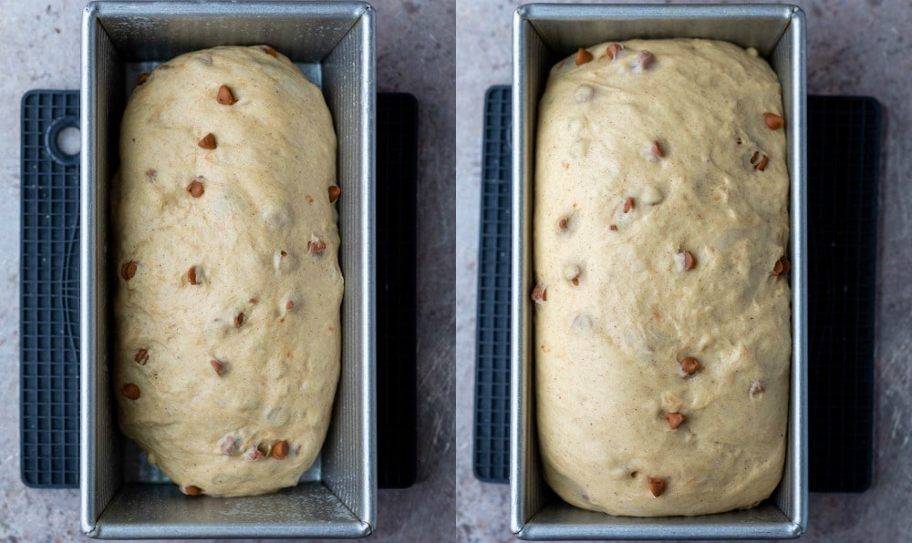 Cinnamon chip bread dough in a silver bread pan