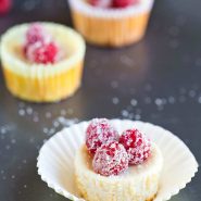Mini Lemon Yogurt Cheesecakes