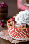 Slow Cooker Cranberry Apple Crisp