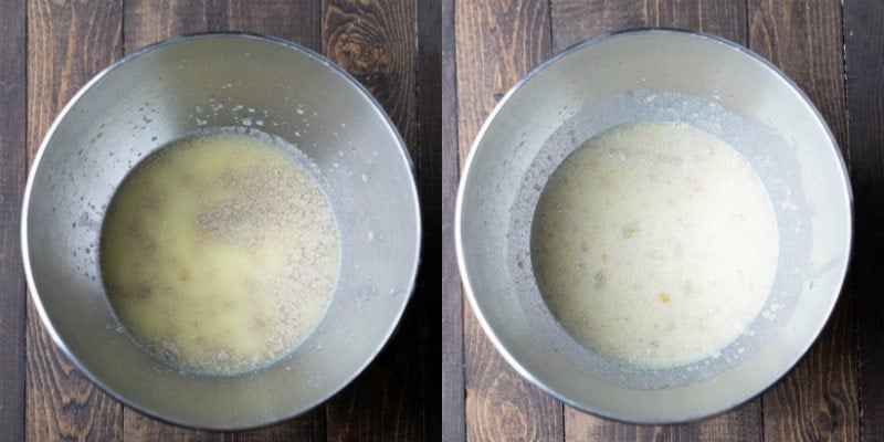 Milk yeast and water in a silver mixing bowl