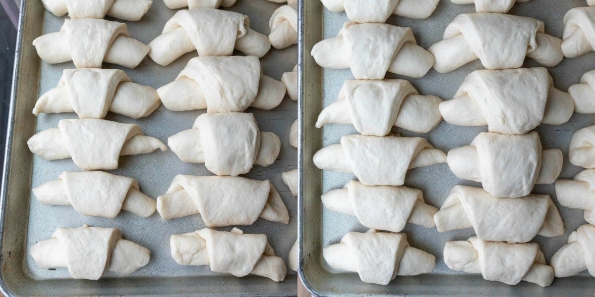 Risen and unrisen butterhorn dinner rolls on a baking tray