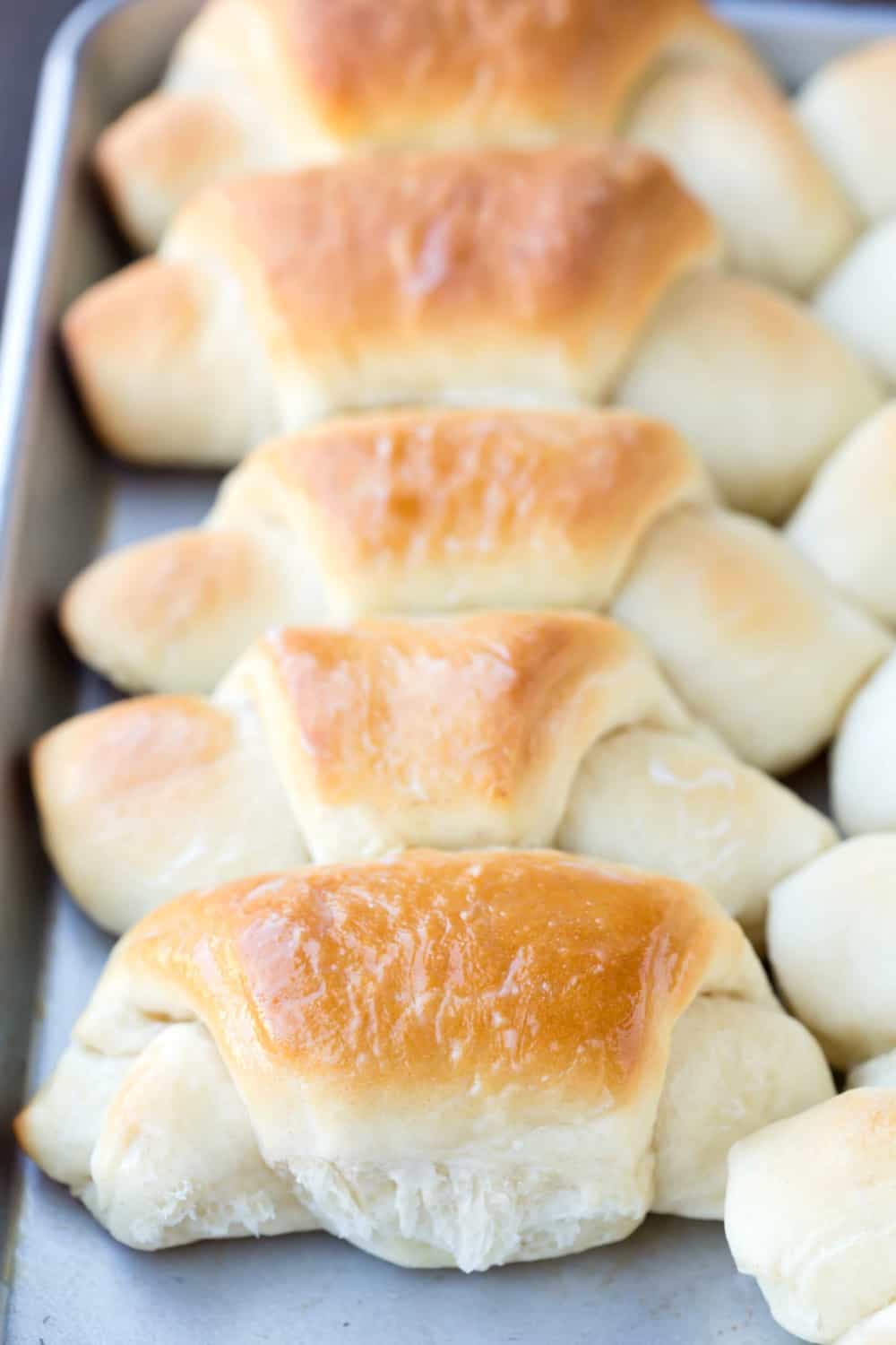 Butterhorn Dinner Rolls in a row on a baking sheet