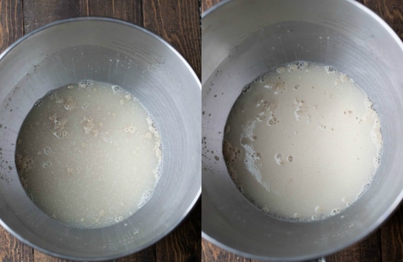 Yeast in a silver mixing bowl