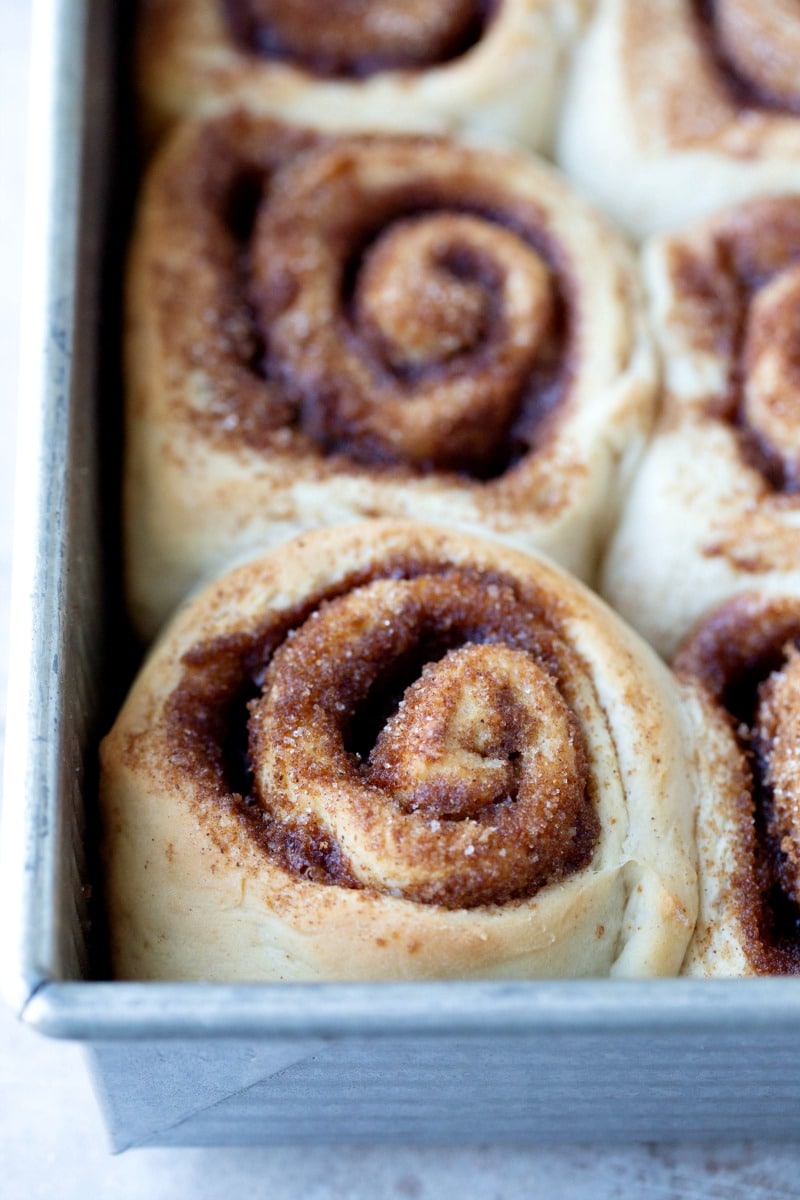 Unfrosted maple cinnamon rolls in a baking pan