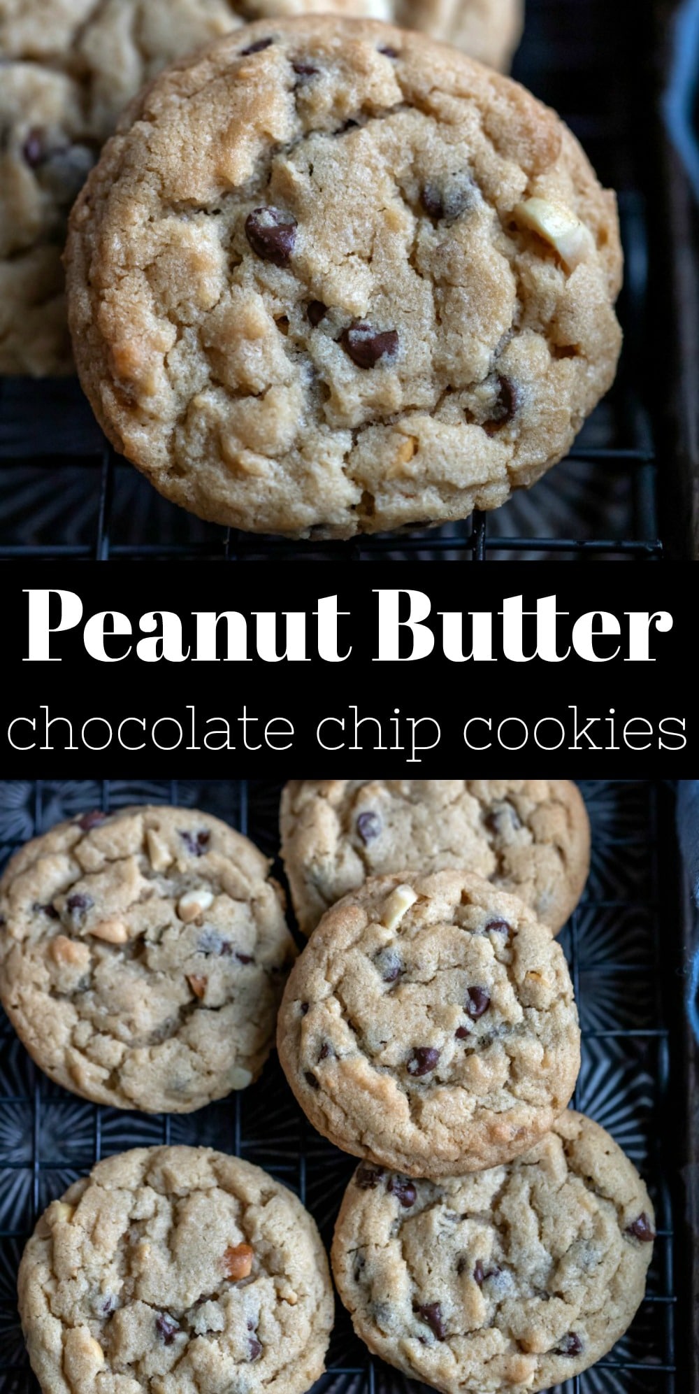 peanut butter chocolate chip cookies