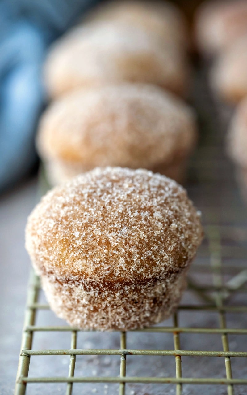 Apple Cider Donut Muffins Apple cider donut muffins on a gold wire baking rack
