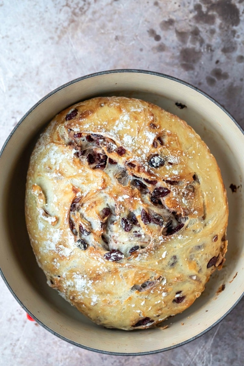 Baked no knead cranberry nut bread in a Dutch oven