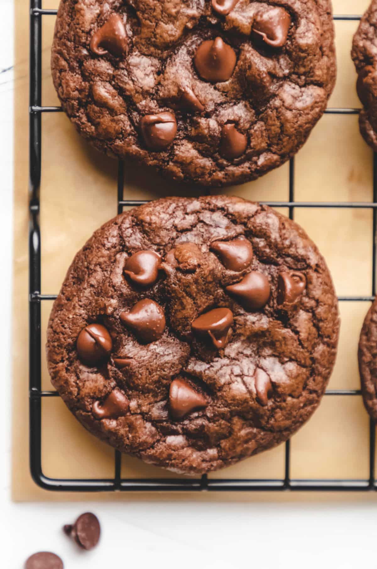 Two easy chocolate chocolate chip cookies on a cooling rack.