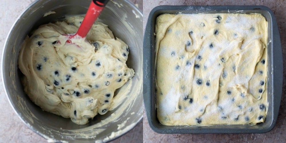 Blueberry cake batter in a baking pan