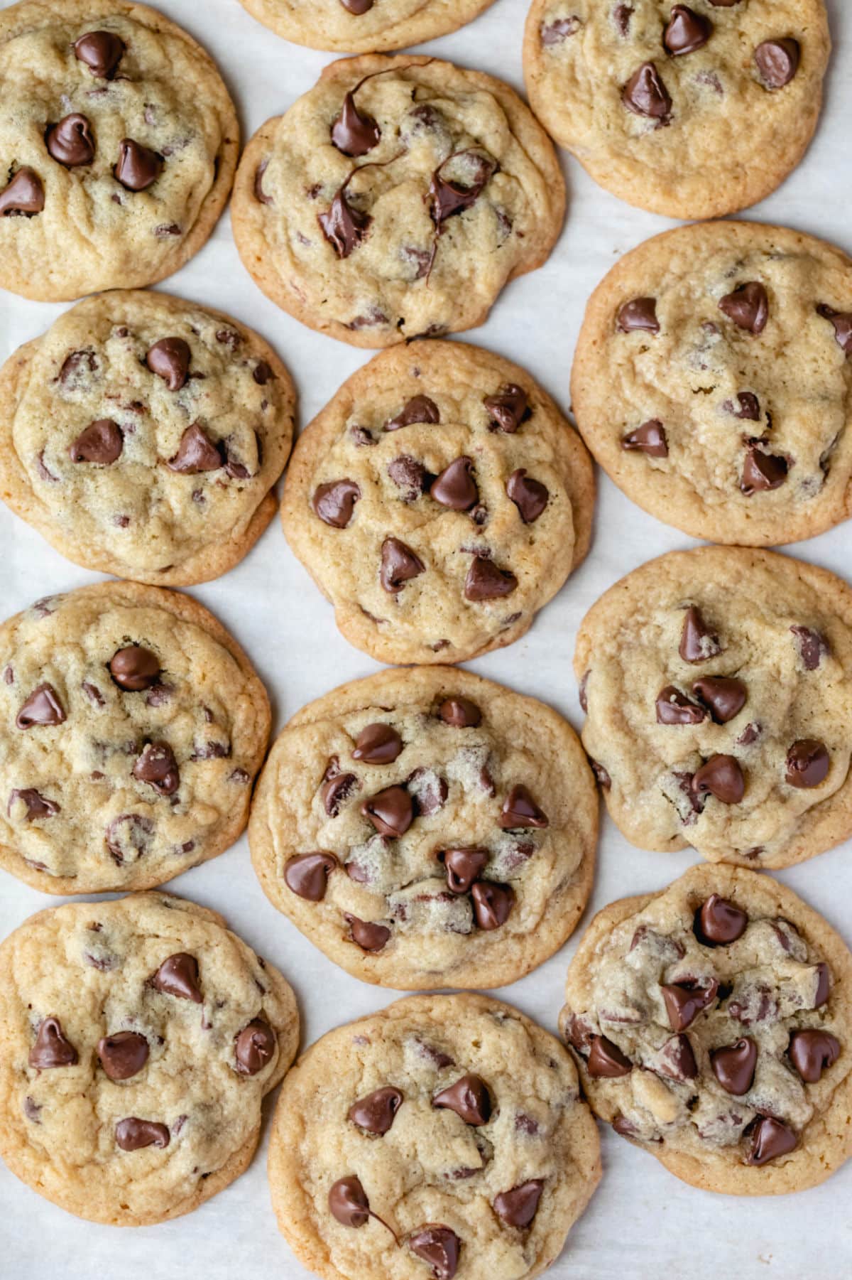 Rows of chocolate chip pudding cookies on a piece of parchment paper. 