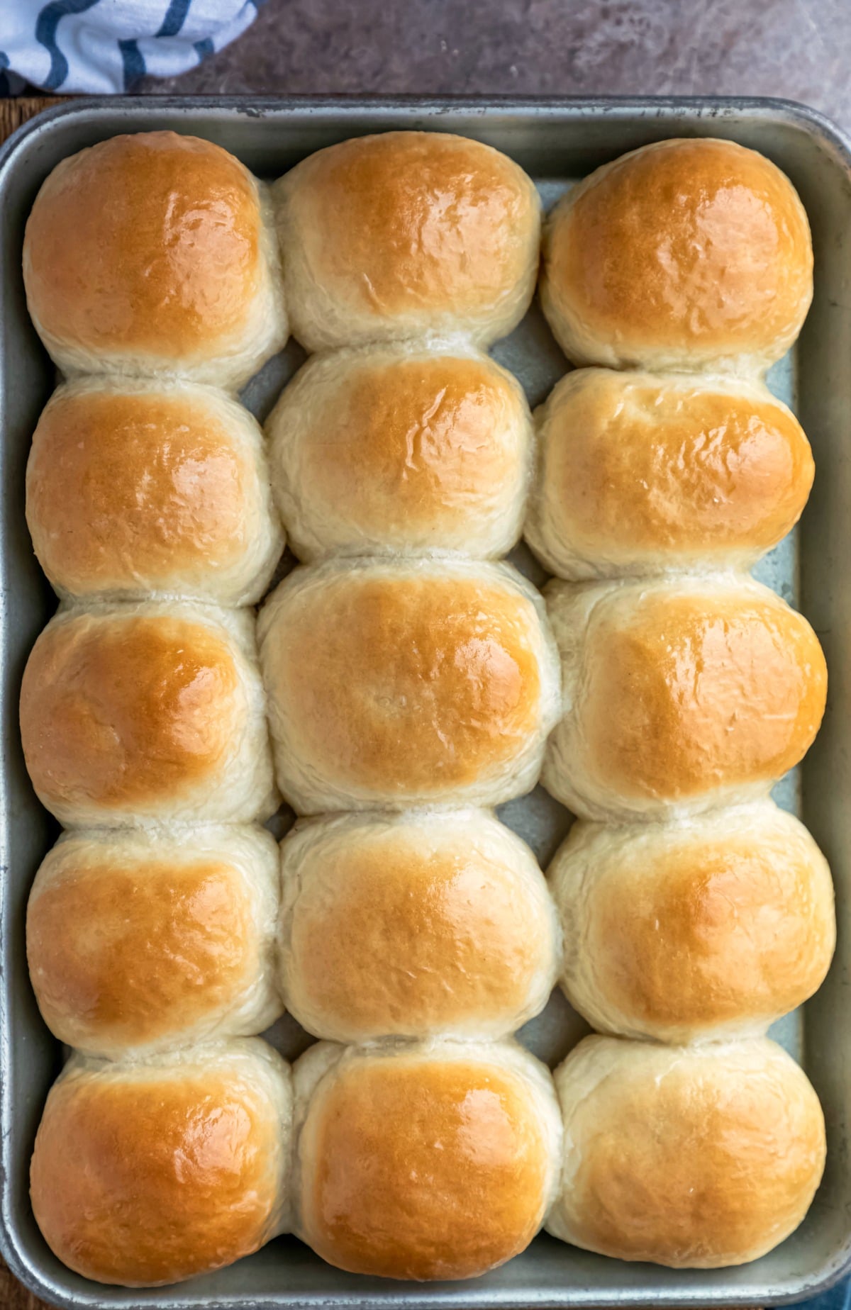 Overhead view of tray with 15 dinner rolls in it