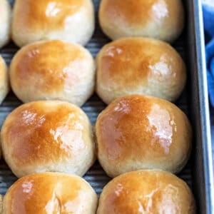 Pan of whole wheat dinner rolls