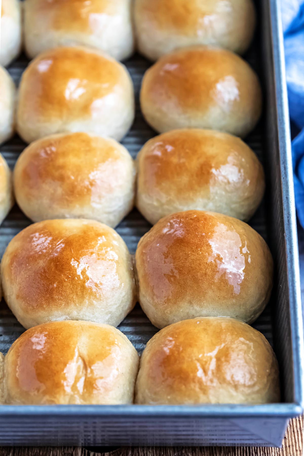 Pan of whole wheat dinner rolls