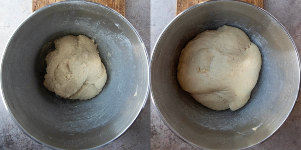 Whole wheat dinner roll dough in a silver mixing bowl