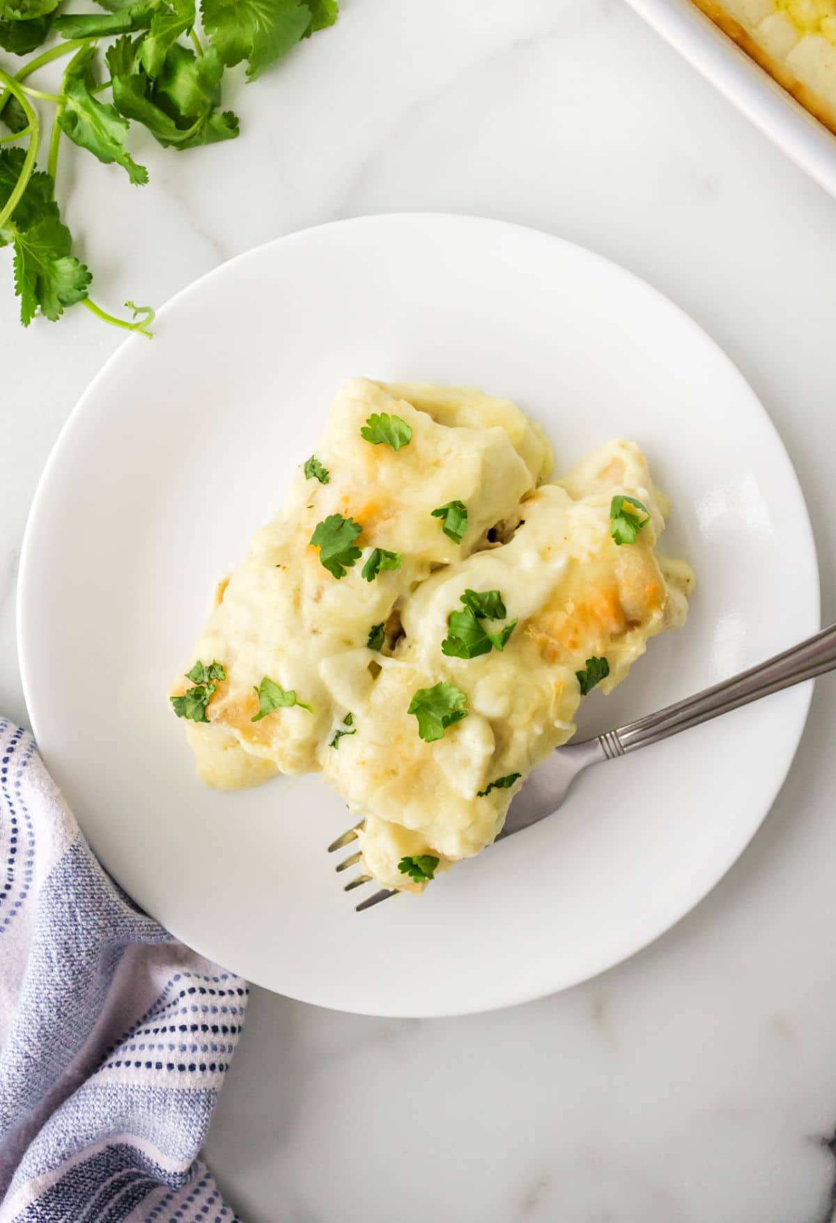 Two white chicken enchiladas topped with fresh cilantro.