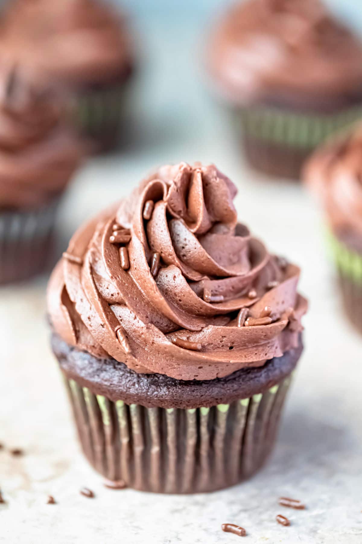 Chocolate cupcake with a swirl of chocolate buttercream frosting and chocolate sprinkles. 