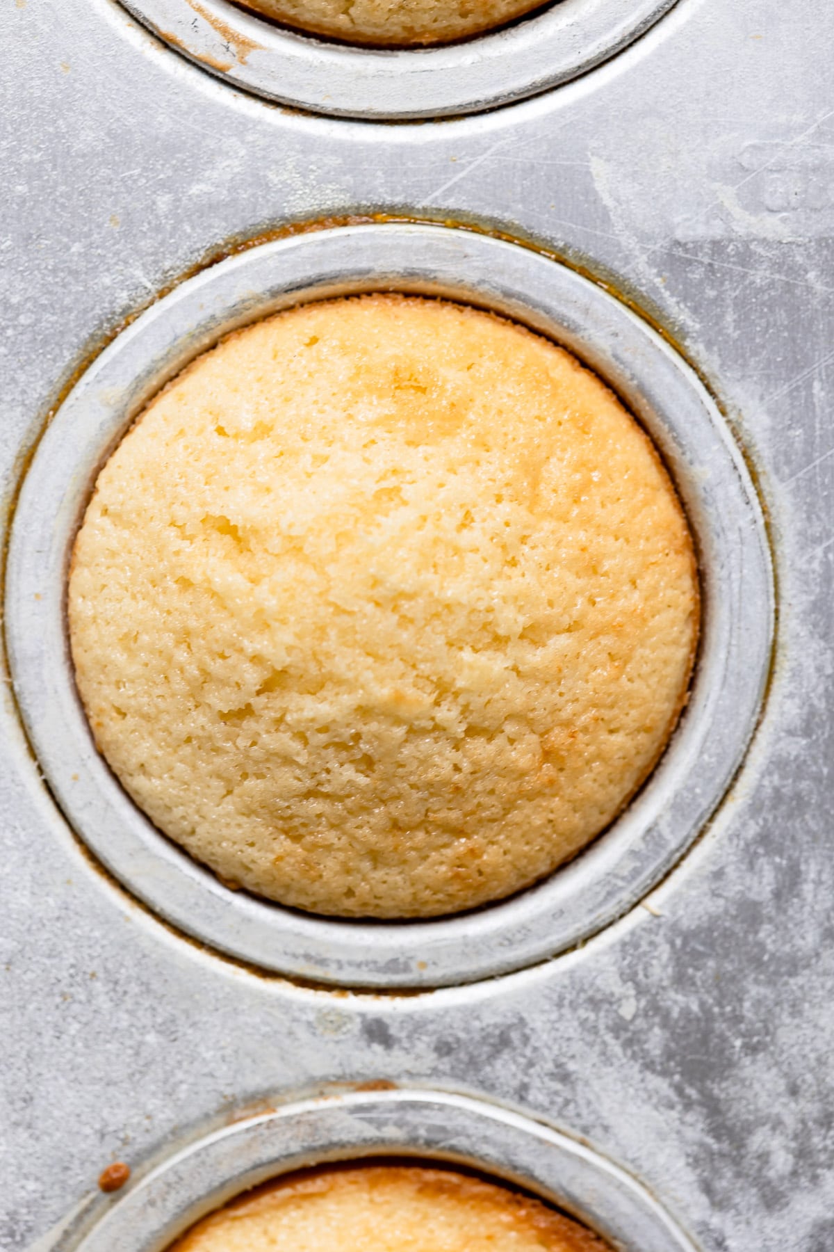 Baked cupcake in a muffin tin.