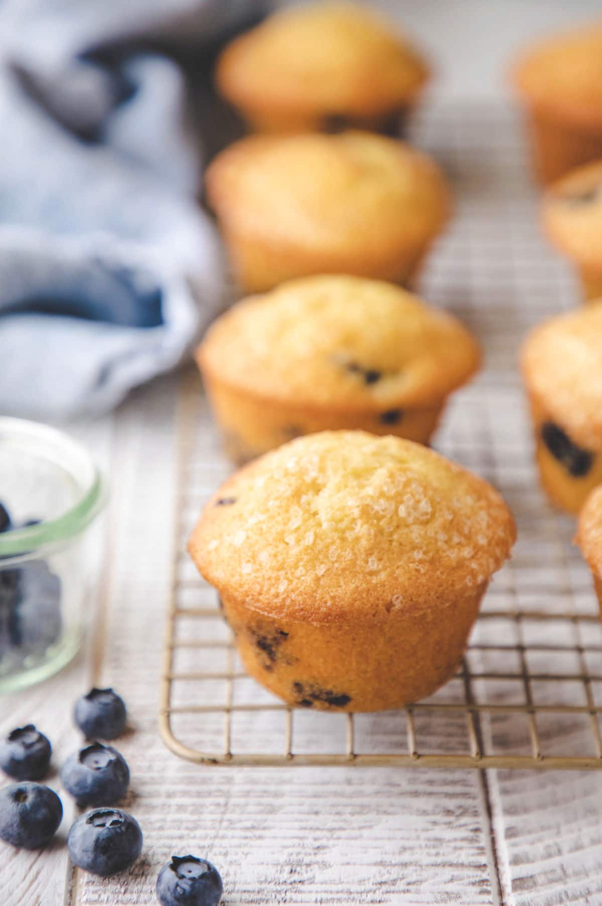 Bakery style blueberry muffins on a wire cooling rack.