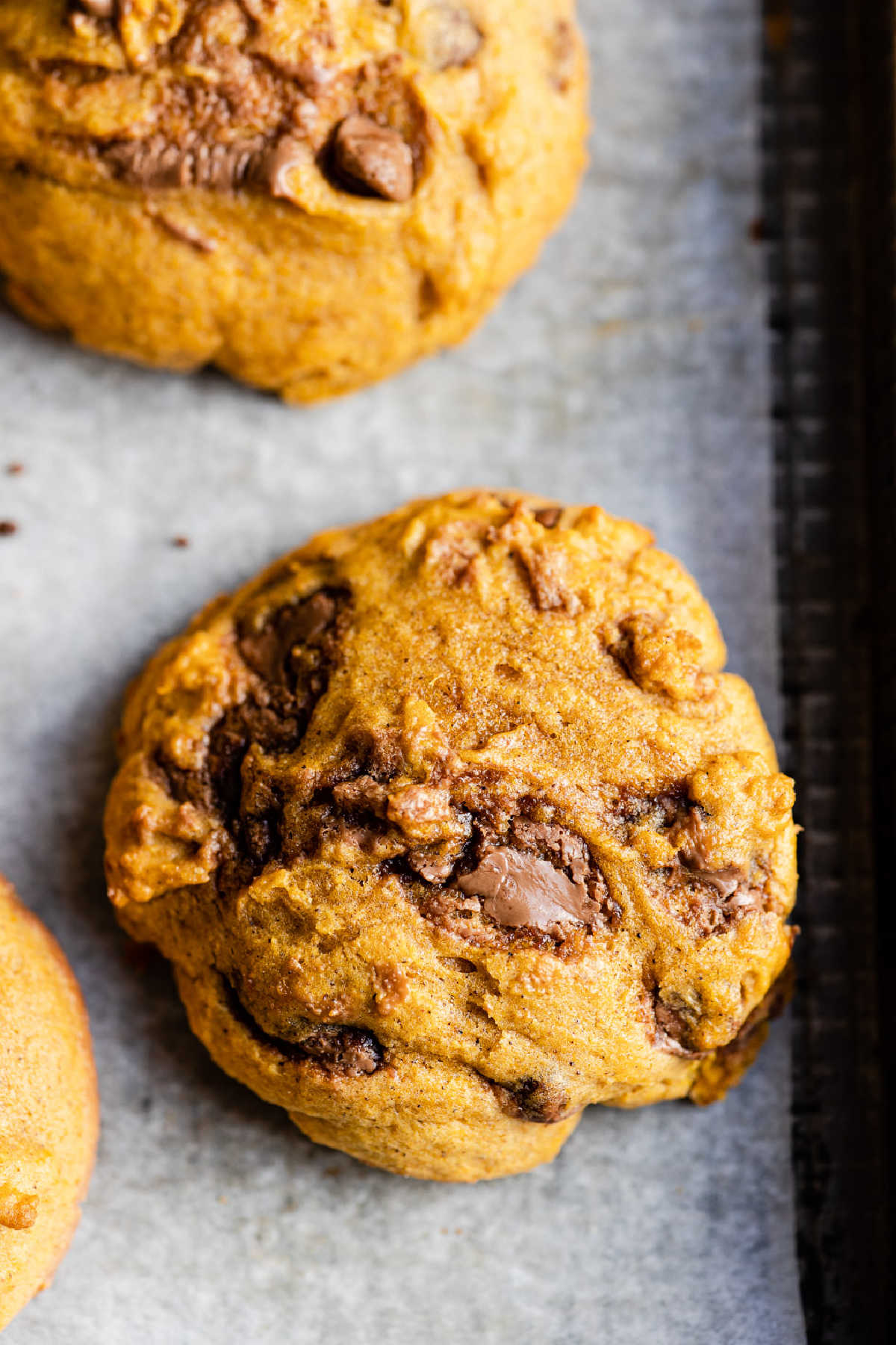 Close up photo of a pumpkin chocolate chip cookie on a baking sheet. 