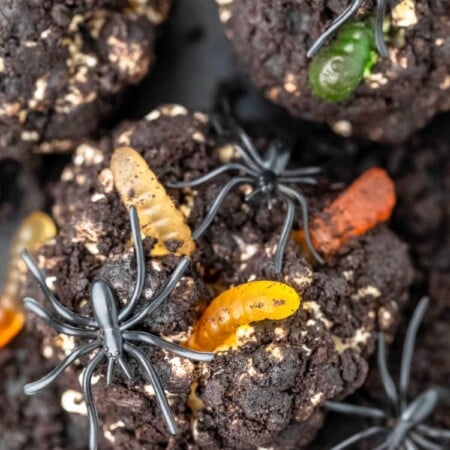 Dirt balls on a black plate.