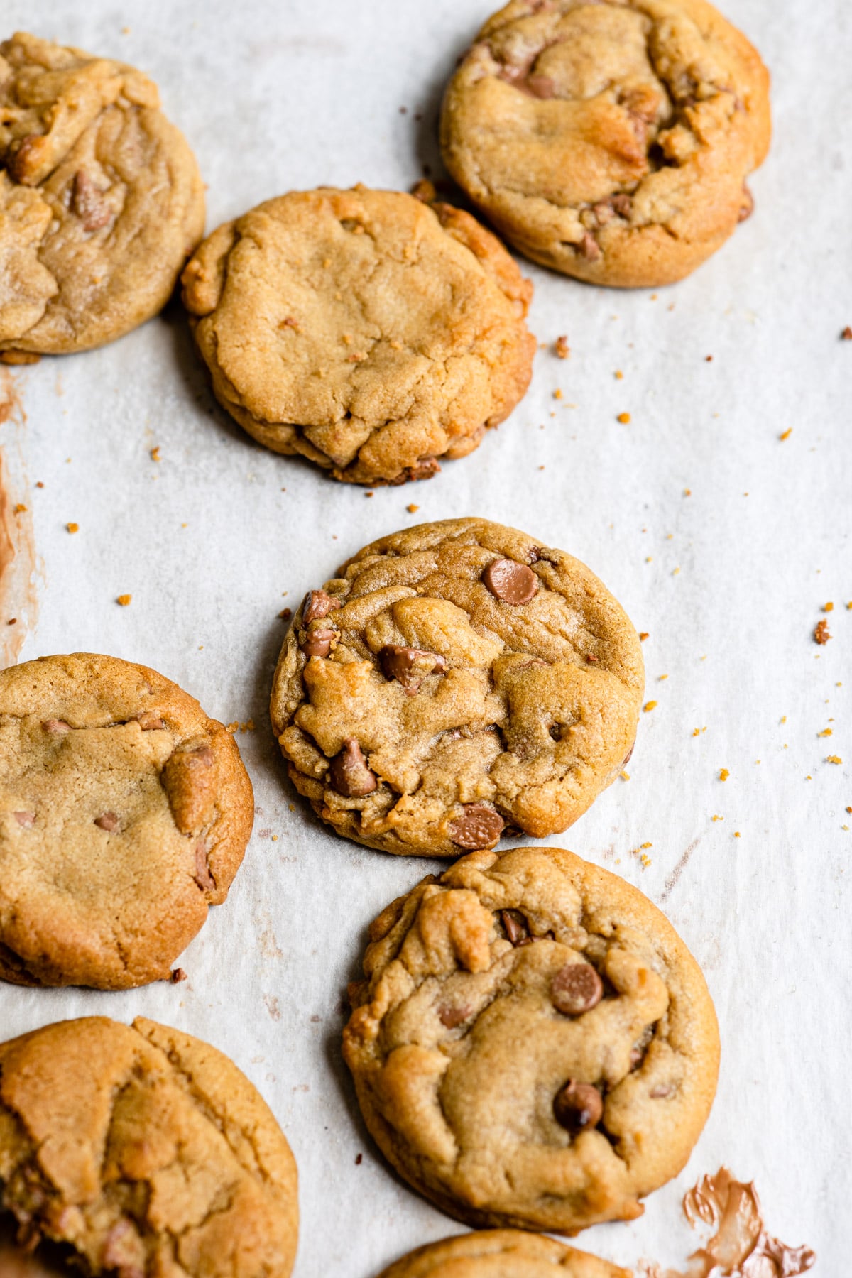 A row of bakery style chocolate chip cookies on a piece of parchment paper. 