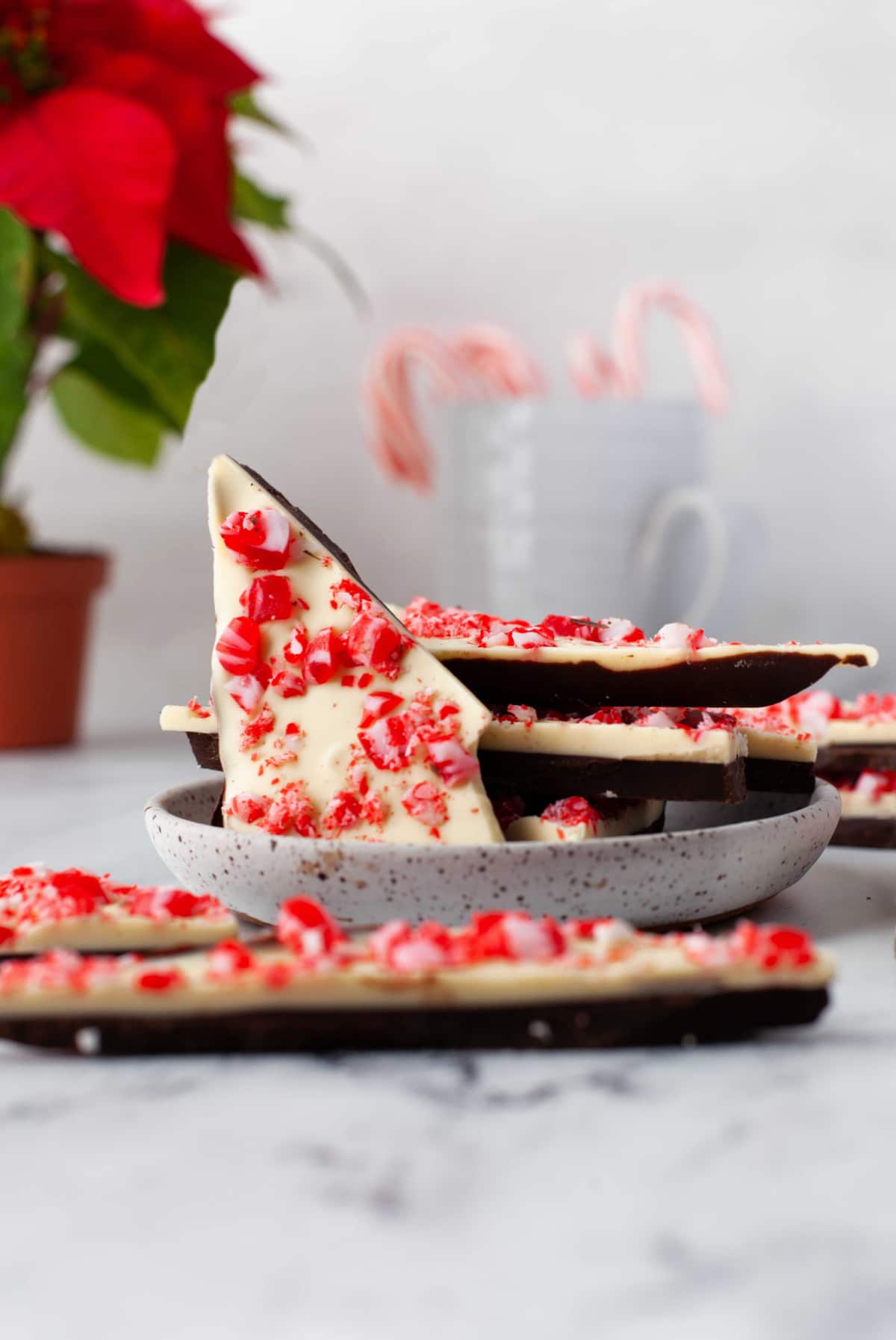 A piece of peppermint bark sticking up off of a plate. 