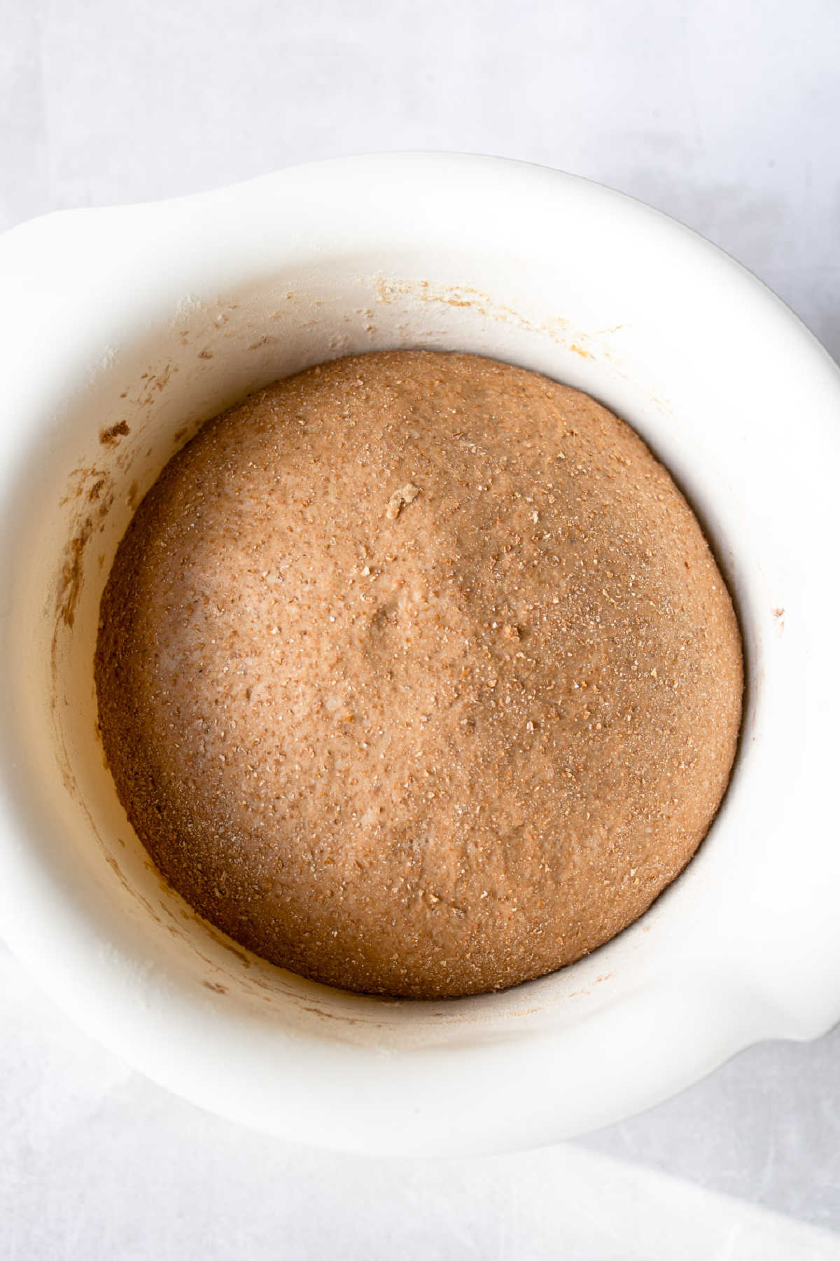 Outback bread dough rising in a white mixing bowl. 