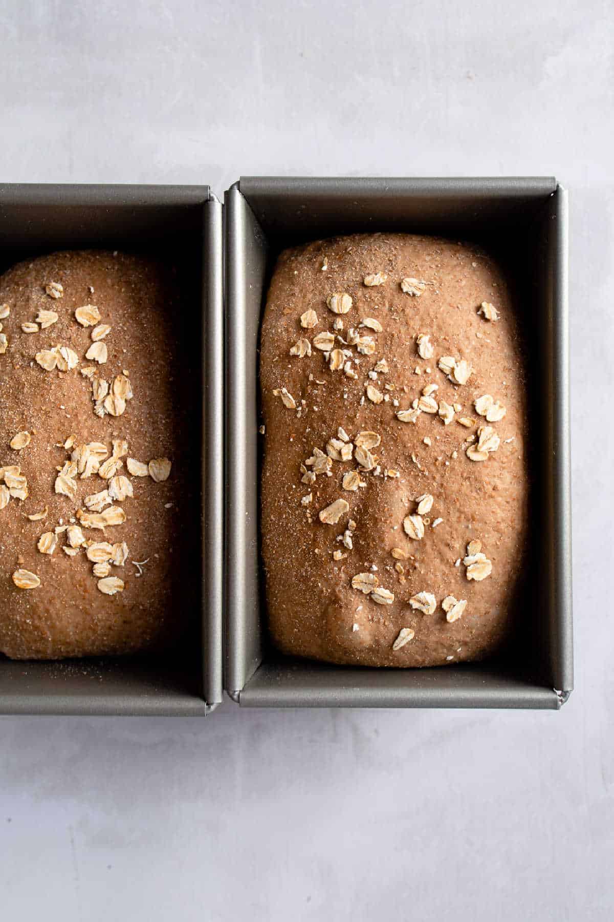 Two bread pans filled with outback bread dough. 