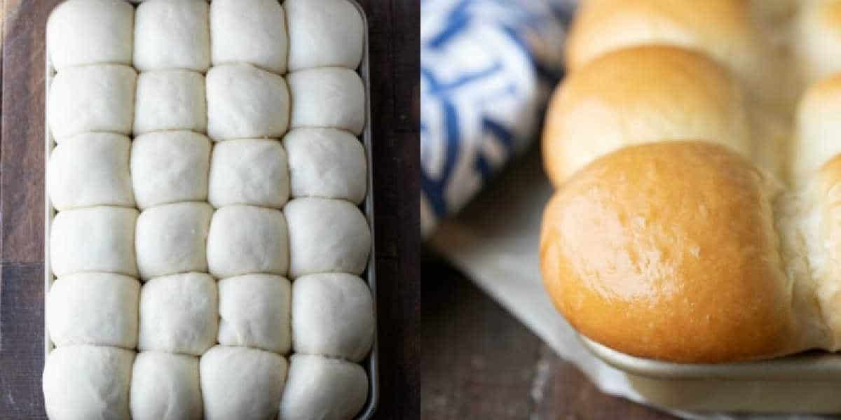 Risen roll dough in a baking pan.