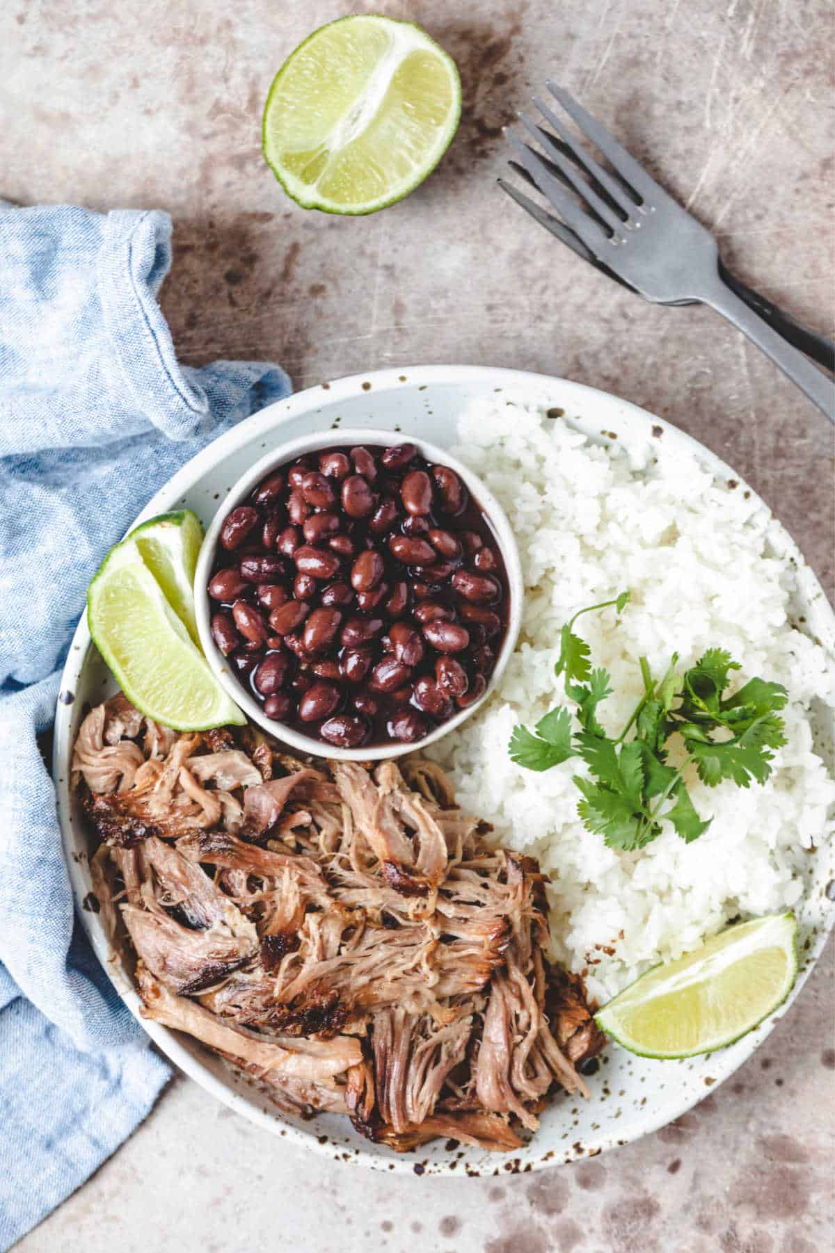 Overhead photo of a dish with Cuban pork and white rice. 