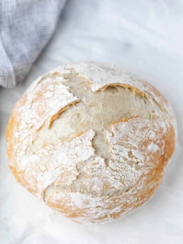 cropped-no-knead-bread-1200-1.jpg