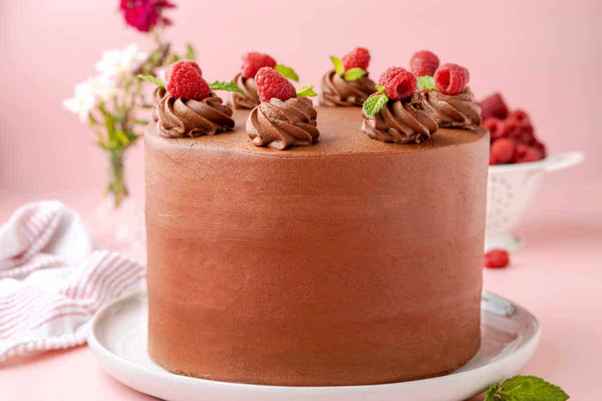 A chocolate raspberry layer cake on a white platter. 