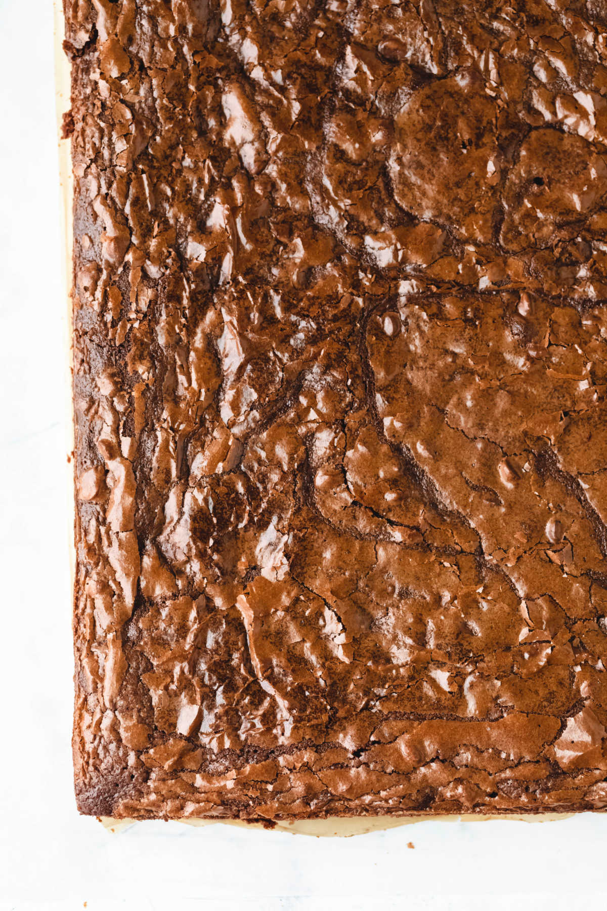 Baked uncut brownies on a piece of parchment paper. 