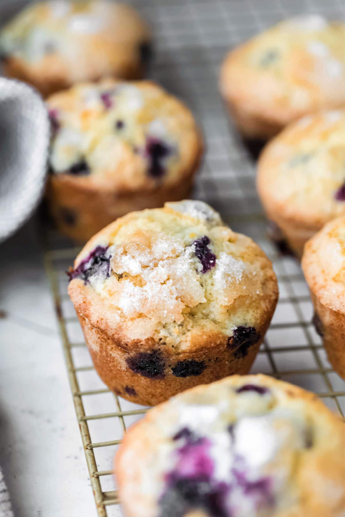 Lemon blueberry muffins on a wire cooling rack. 