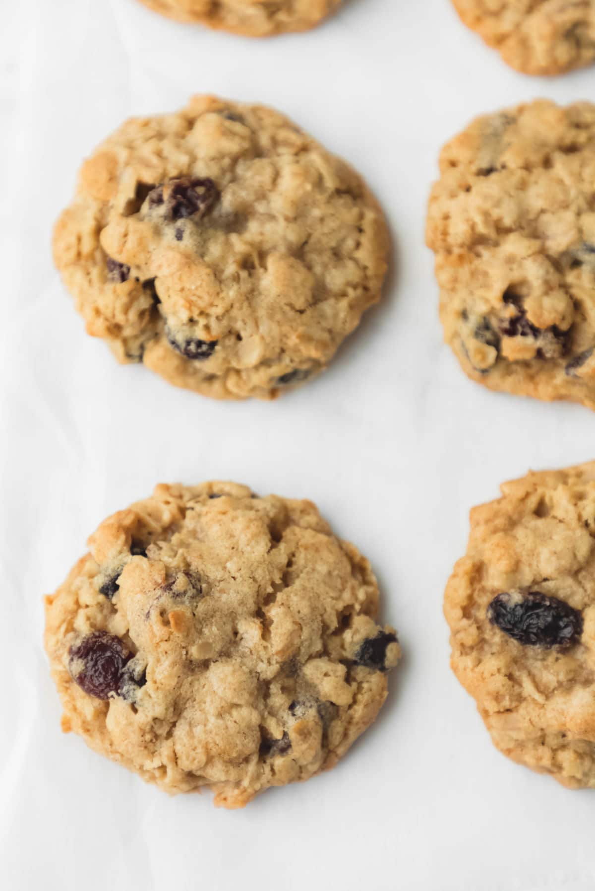 Rows of oatmeal raisin cookies on parchment paper. 